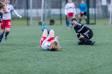 Bild 20 - wBJ HSV - F VfL Jesteburg : Ergebnis: 6:1